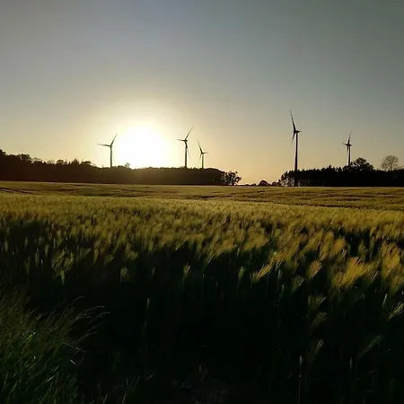 Haus Seestern Apartman Hasselberg